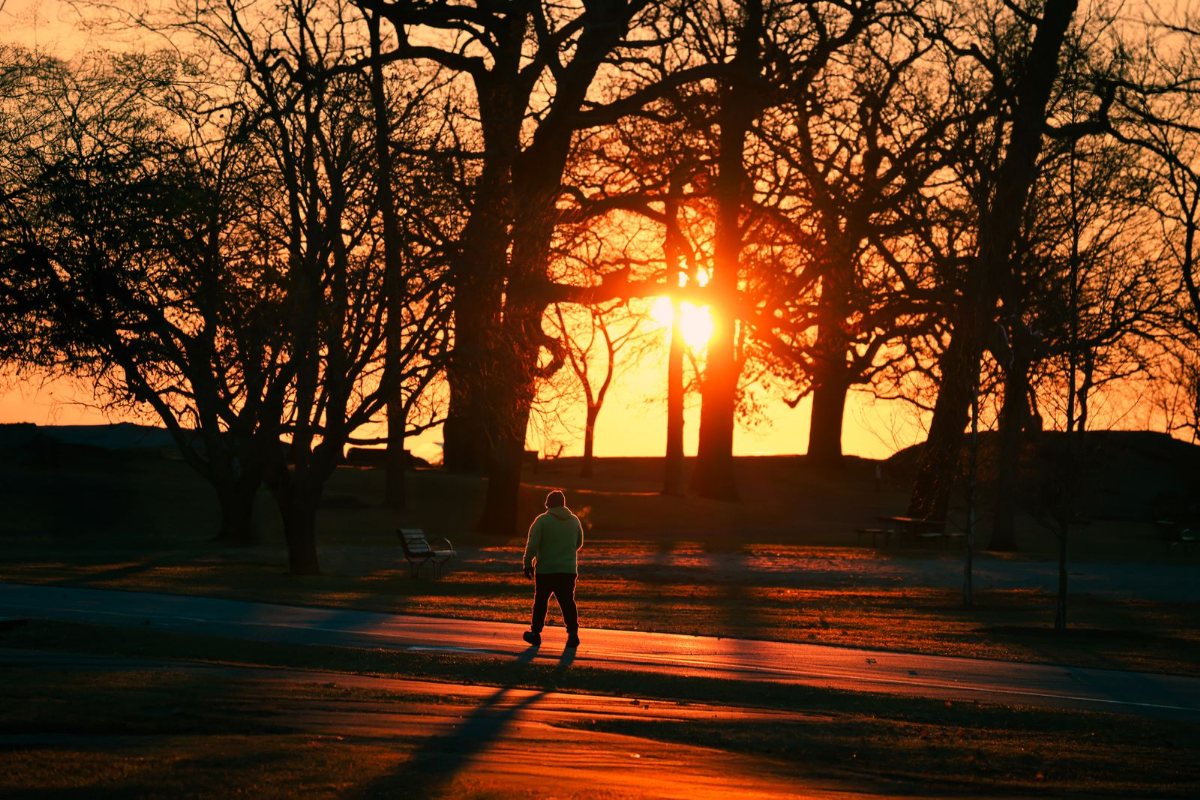 A peaceful morning walk on a tree-lined park path, illustrating low-impact active recovery between strength sessions.