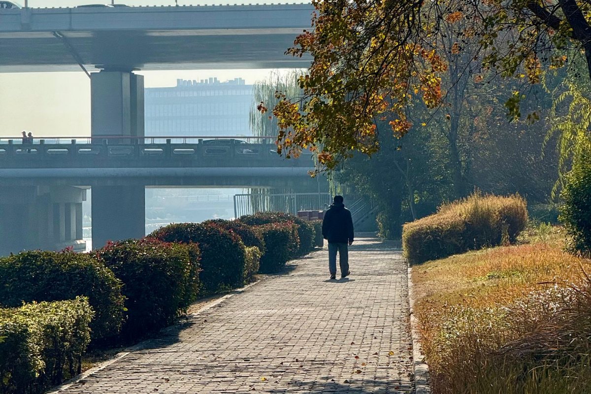 A person walking along an autumn riverside path.